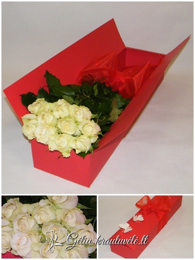 Baltų rožių siurprizas dėžutėje tik Klaipėdoje nuotrauka 0