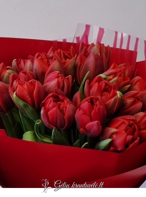 Raudonų tulpių puokštė – elegantiška klasika nuotrauka 1