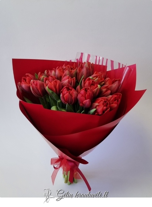 Raudonų tulpių puokštė – elegantiška klasika