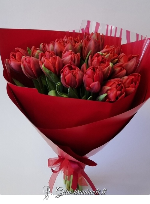 Raudonų tulpių puokštė – elegantiška klasika nuotrauka 2